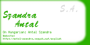 szandra antal business card